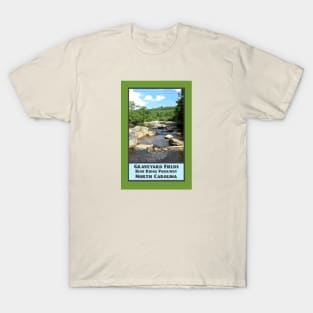 Vintage Travel Graveyard Fields T-Shirt